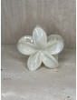 Barrette Fleur Blanche
